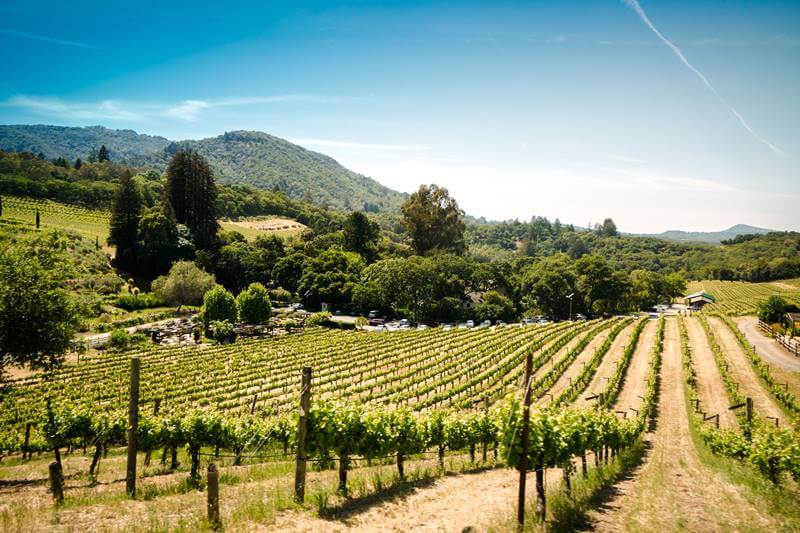 Sonoma Car Service by SFDRIVEN Sonoma Car Service with luxury SUV and private chauffeur by SFDRIVEN