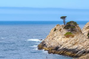 Top 6 Places To See in Carmel-By-The-Sea