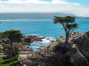 The Inn at Spanish Bay - One of the Top Pebble Beach's Holiday Destinations