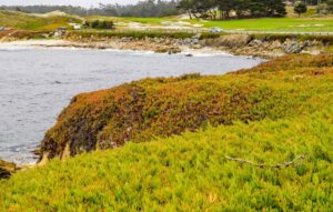 Top Events at Pebble Beach Resorts