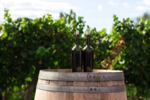Guide for Organizing Trip to Wellington Cellars