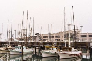 Explore San Francisco's Neighborhoods with Private Transportation