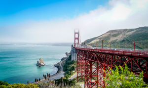 Bay Area Bliss: Elevate Your Experience with Private Transportation